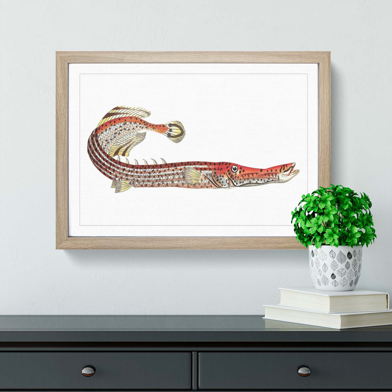 Chinese Trumpet-Fish by George Shaw - Framed Print, 27cm H x 36cm W x 2cm D, Oak Framed