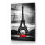 Boze Wall Decor on Tempered Glass