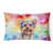 Other/No Pattern Outdoor Throw Pillow