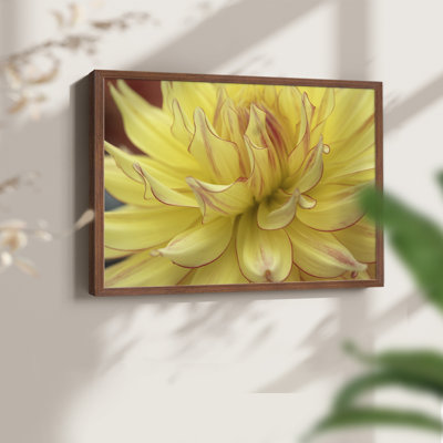 Blooms I -Framed Print - Restickable