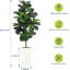 150cm Plant