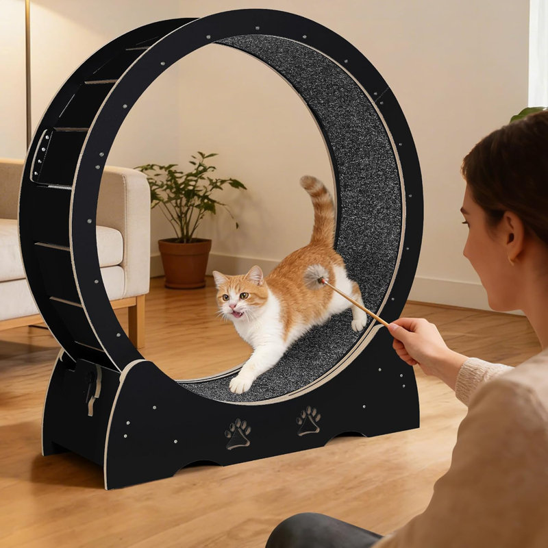 Roue d'exercice pour chat de 43 pouces, tapis roulant en bois avec rail de tapis amovible, à faible bruit, stable, naturel