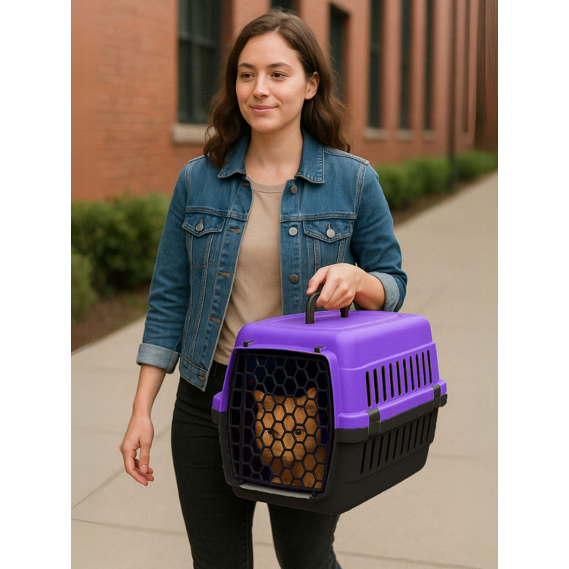Boîte de transport pour animaux, H 11,81 po x l 17,72 po x P 11,81 po, Purple
