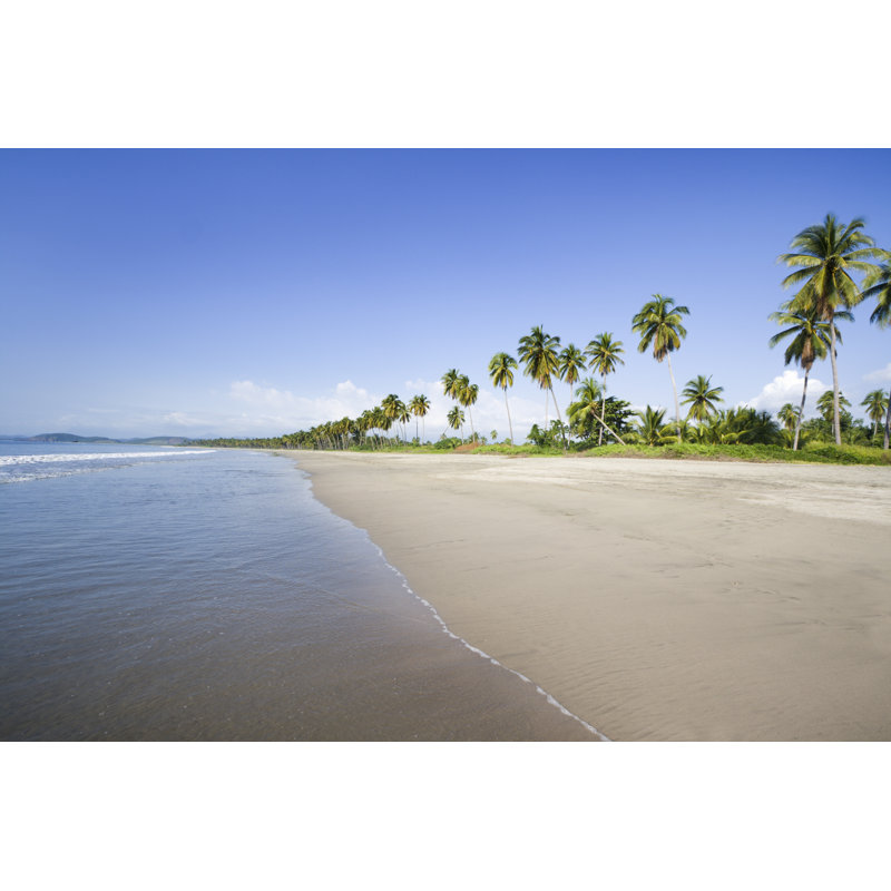 Lost Paradise - Wrapped Canvas Print, 81cm H x 122cm W x 3.8cm D