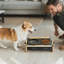 Ensemble de bols pour animaux de compagnie avec bol en céramique et support en fer et en bois, hauteur et angle réglables