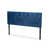 Navy Blue selected