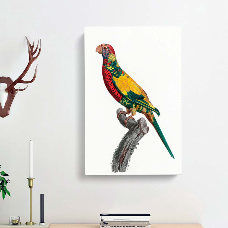 Rainbow Lorikeet by F. Levaillant - Wrapped Canvas Print, 50cm H x 35cm W x 3cm D