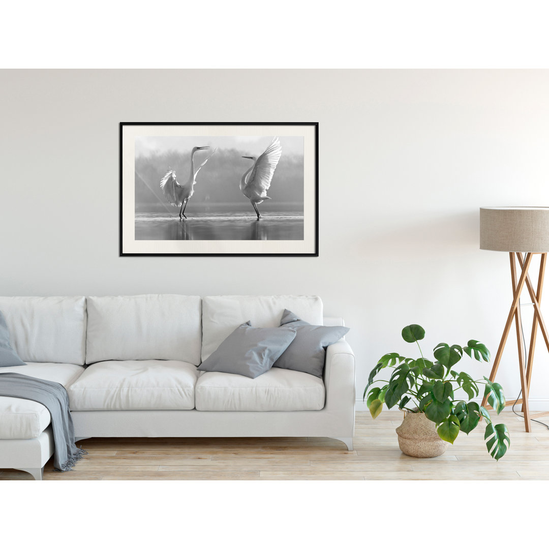 Gerahmtes Poster Black and White Herons