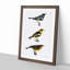 Warbler Birds PL. 58 by J.E. De Kay - Framed Print-55641565-55641566