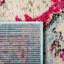 Mornington Oriental Blue/Pink Area Rug-1670622385