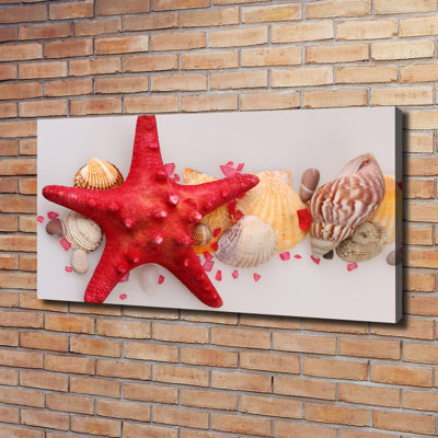 Starfish And Shells - Wrapped Canvas Print