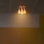 Nantan Spotlight-1513435237-1513435232