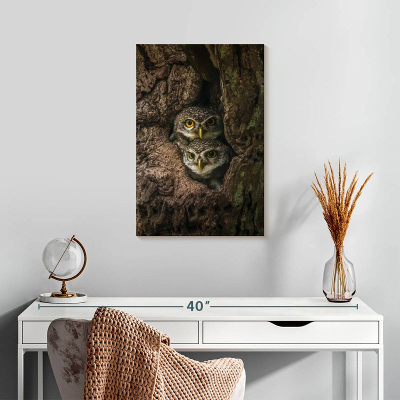 Brampt Twin Baby Owls, 24" H x 16" W