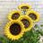 Gonesse Metal Pole Decorative Bird Feeder
