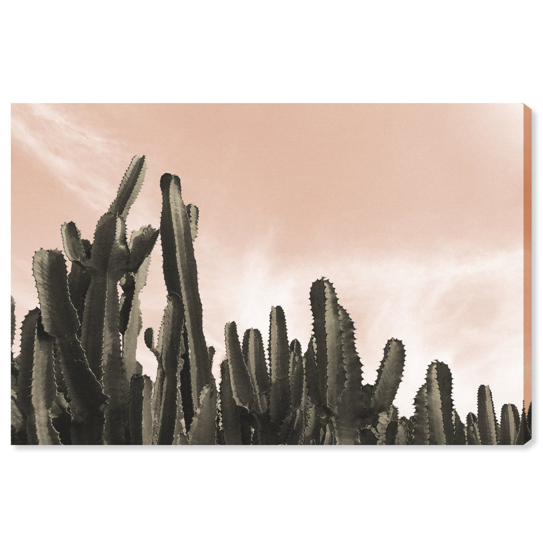 'Dream Landscape Cactus Desert' Print on Canvas