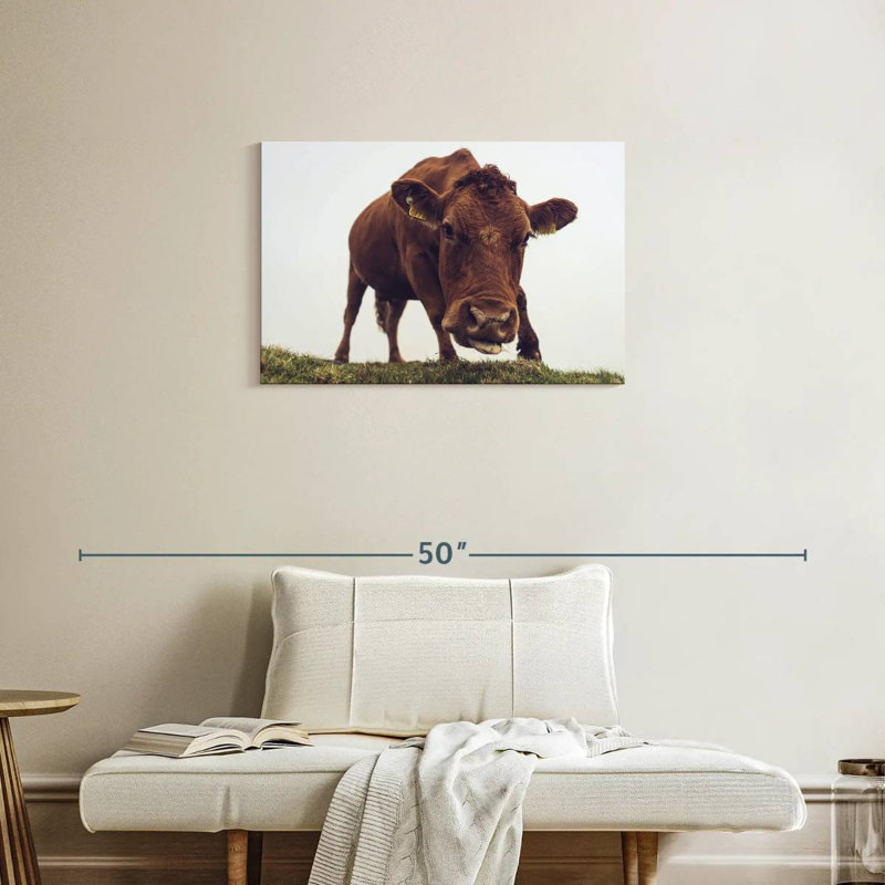 Visage de vache chocolat, H 20 po x l 30 po