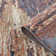 Abstract Indoor Rug