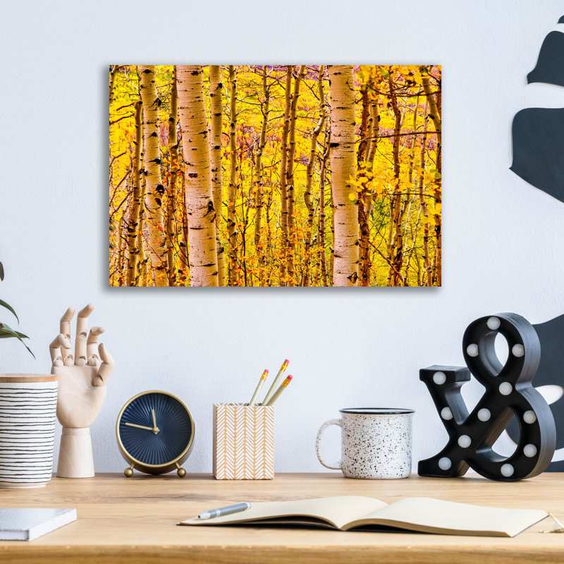 «Aspen Autumn» par Mark A Paulda, H 12 po x l 16 po x P 0,13 po