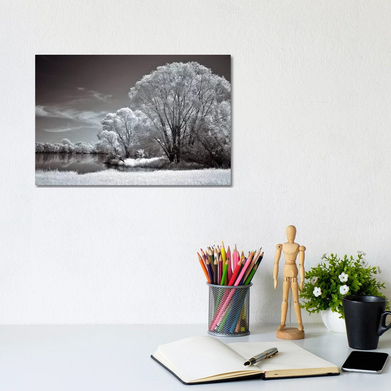 And Quiet by Ily Szilagyi - Wrapped Canvas Print, 20.32 cm H x 30.48 cm W