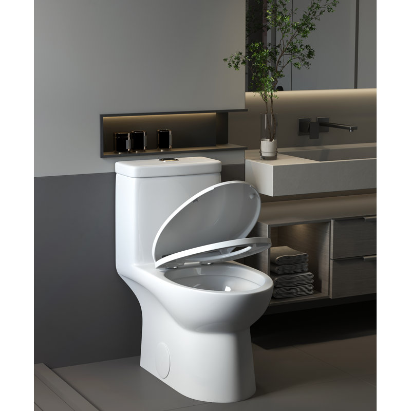 Poseidon Dual-Flush Elongated One-Piece Toilet (Seat Included), Pure White/Silver