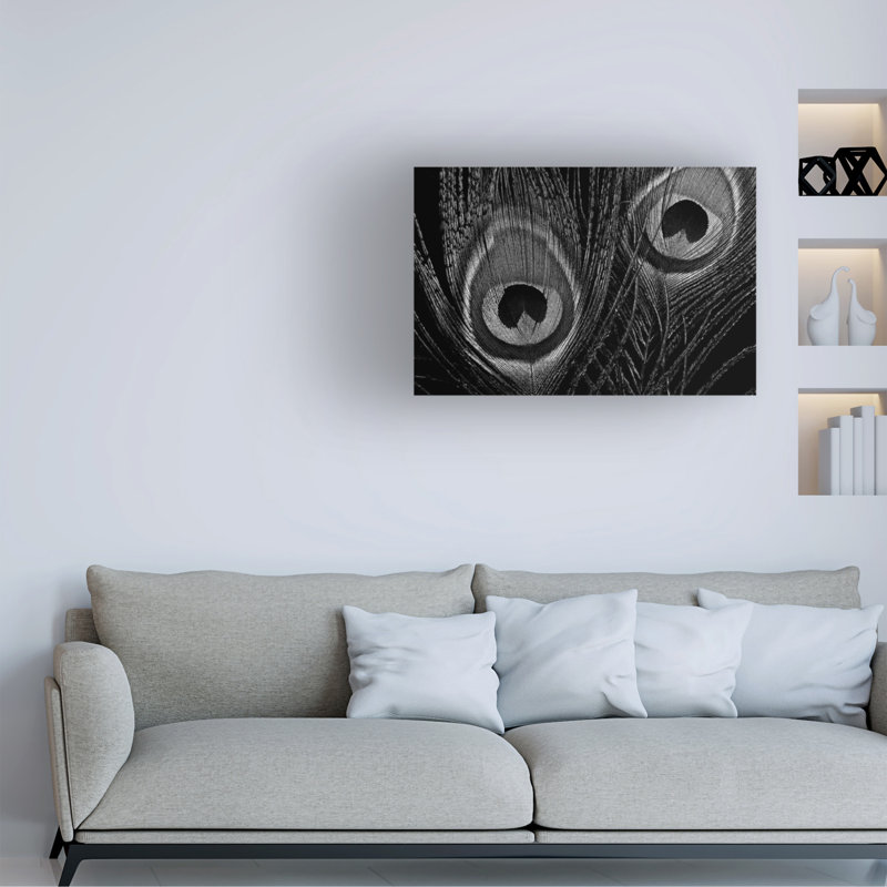 Art sur toile, animaux Tom Quartermaine noir et blanc plumes de paon, H 12 po x l 19 po x P 2 po