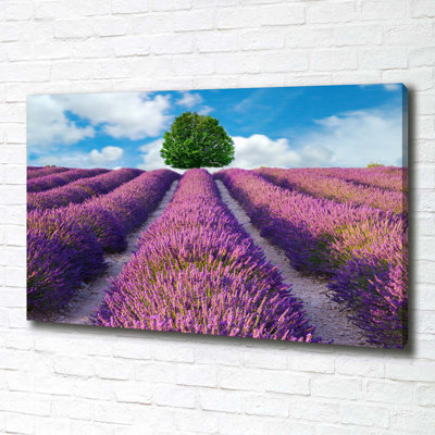 Lavender Field - Wrapped Canvas Print