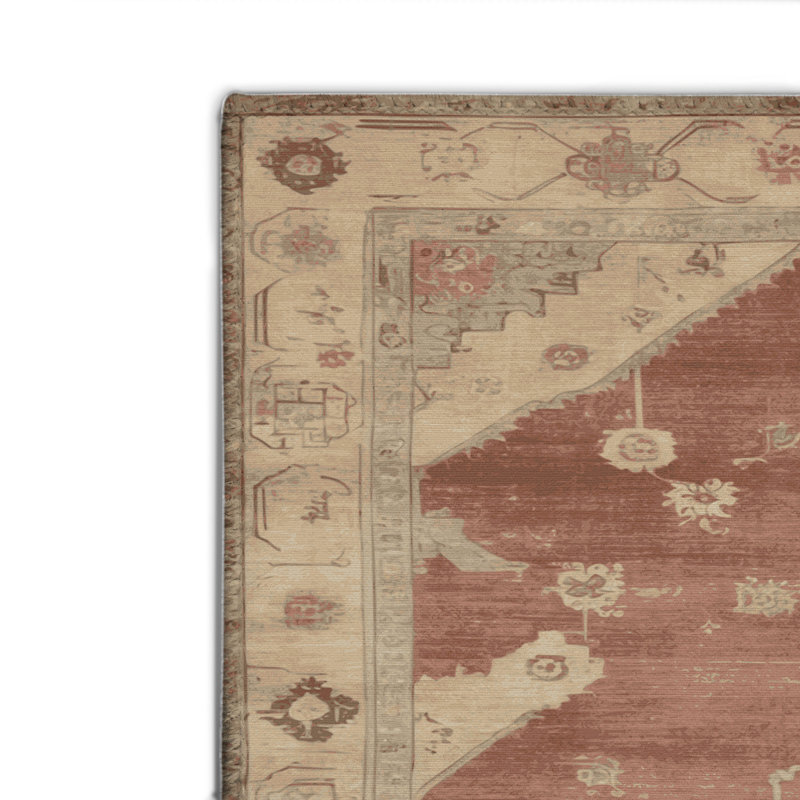 Tapis intérieur et extérieur brun Overdyed, Rectangulaire 2 pi x 3 pi