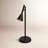 Tyrus Metal Desk Lamp