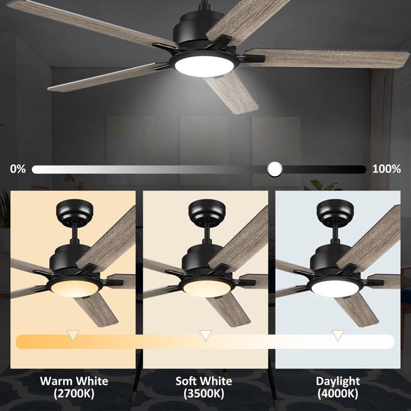 52'' Ceiling Fan with LED Lights