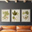 Feuilles antiques IV - ensemble de 3 peintures sur toile encadrées-1306045712-1306045715