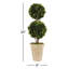 Preserved Boxwood Double Ball Topiary in Pot-465220150