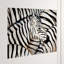Part Of The Pack IV Print-25707683-25707689