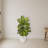 Dieffenbachia Silk Plant in White Planter