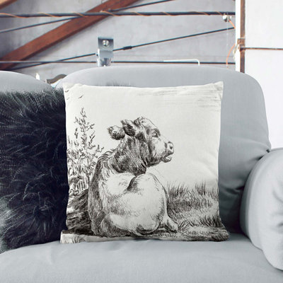 Square Throw Cushion