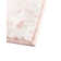 Boyland Oriental Indoor Rug