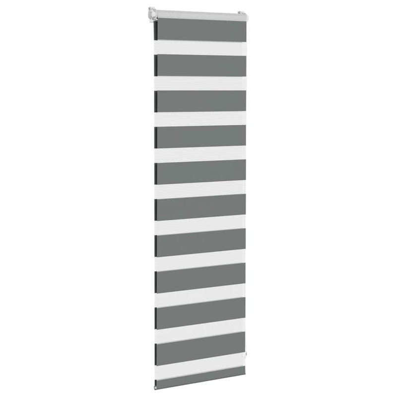 George Oliver Zebra Blind Polyester, 45cmW x 100cmL, Dark Grey