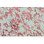 Oriental Area Rug