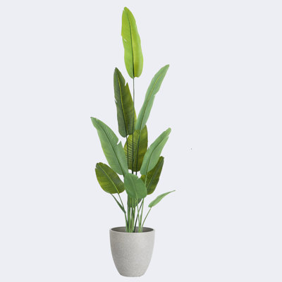 Pots de plantes ronds artificiels en résine