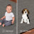 Rondalla Indoor / Outdoor Rug-799493898