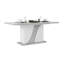 Bhrianne Extendable Dining Table