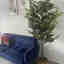 Photos des clients 1 de 1