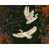 Framed Canvas selected