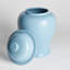 Ricki Ceramic Ginger Jar-1513130371-1488949446