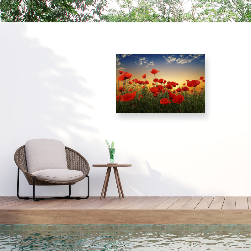 Décoration murale d'extérieur Aminatou Poppies, L 47 po x H 30 po