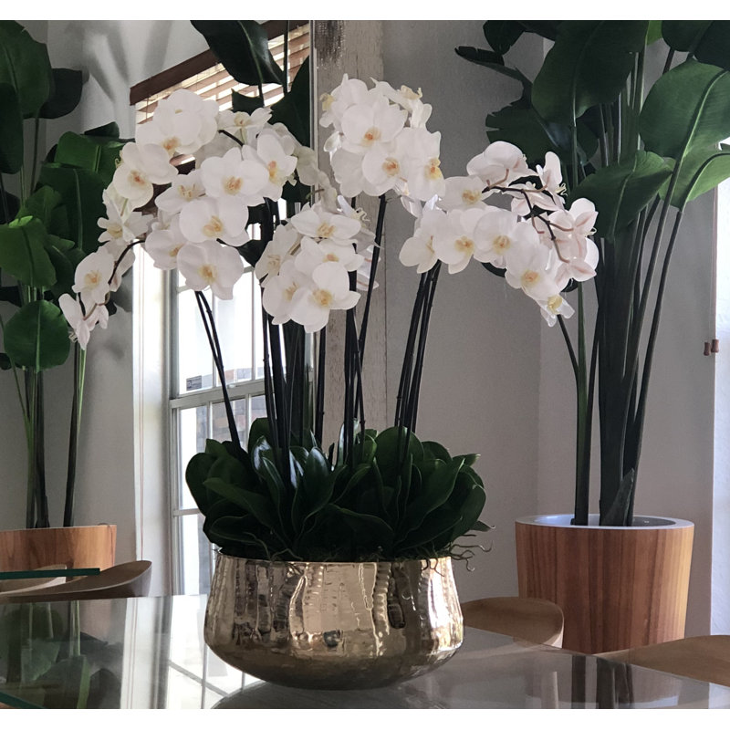 Pot à tiges d'orchidée Roberi, H 38 po x l 22 po x P 22 po, Blanc