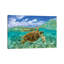 Wave Rider by Jordan Robins - Wrapped Canvas Print-408789543