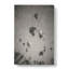Taking A Hot Air Balloon Ride - Wrapped Canvas-55338515