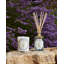 Lavender Candle