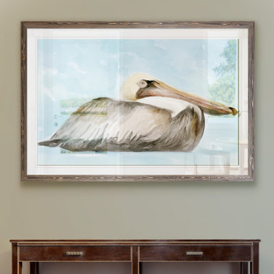 " Soft Brown Pelican I "