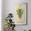 Linnaean Botany I - peinture sur toile encadrée-1846193316-1846193312